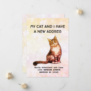 Meine Katze und ich haben die Ankündigung verschob