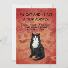 Meine Katze und ich haben die Ankündigung verschob