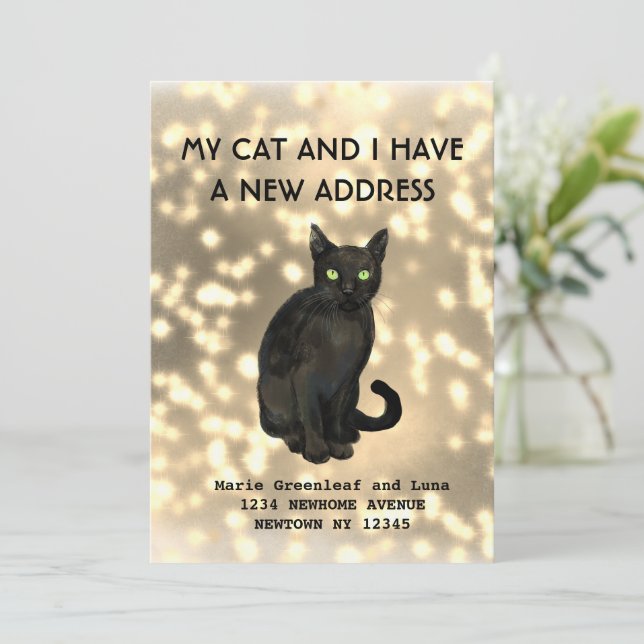 Meine Katze und ich haben die Ankündigung verschob (Stehend Vorderseite)