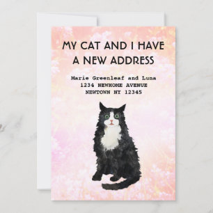 Meine Katze und ich haben eine Ankündigung gemacht
