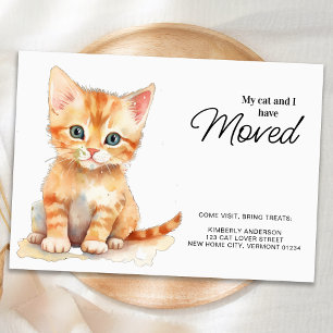 Meine Katze und ich haben Orange Kitten bewegt Ankündigung