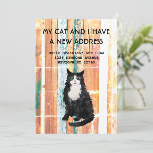 Meine Katze und ich sind umgezogen Ankündigung