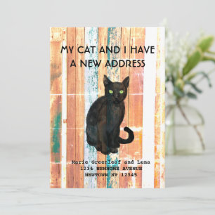 Meine Katze und ich sind umgezogen Ankündigung
