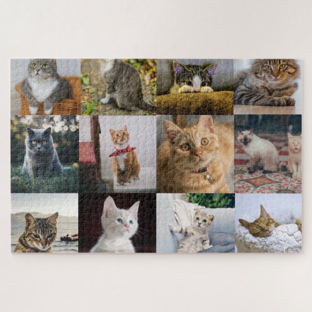 Meine Katzen-FotoCollage auf (Horizontal)