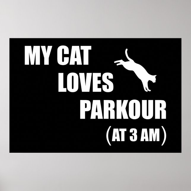 Meine Katzen Lieben Parkour (03.00 Uhr) Funny Cat  Poster (Vorne)