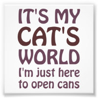 Meine Katzen Welt - ich öffne nur Dosen