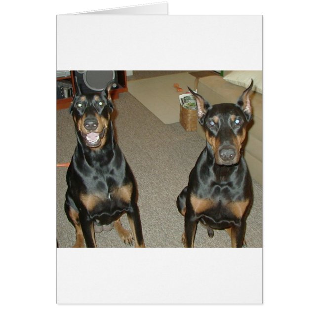 Meine Kinder (Vorne)