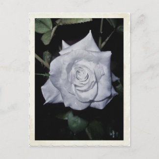 Meine kleine blaue Prinzessin Postkarte