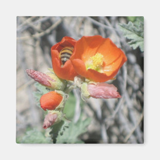 Meine kleine Honigbiene Magnet