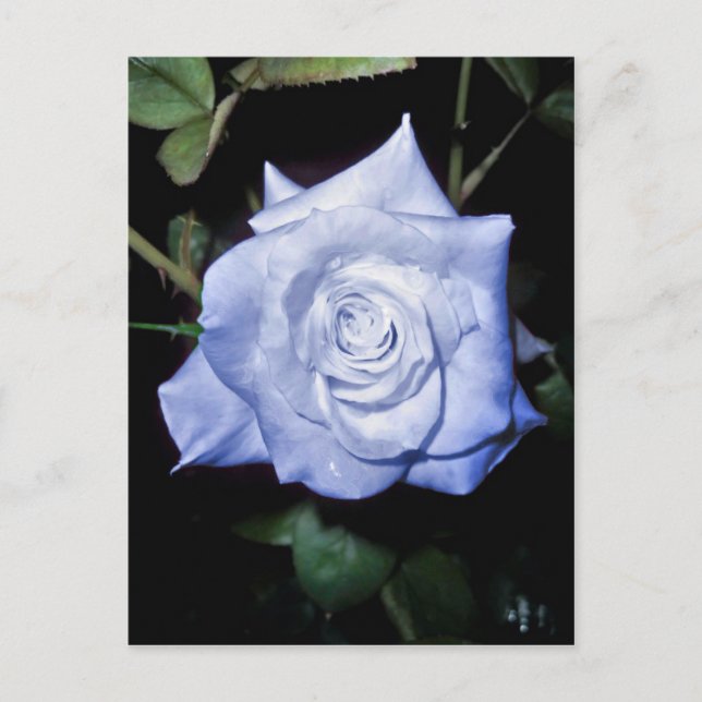 Meine kleine Prinzessin Postkarte (Vorderseite)