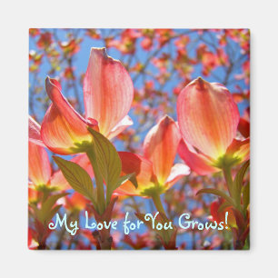 Meine Liebe für dich wächst! Magnete Rosa Dogholzb Magnet
