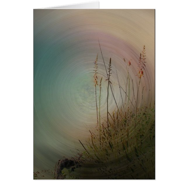 Meine Liebe für Sie (Vorne)