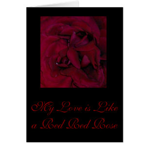 Meine Liebe ist wie eine rote Rote Rose