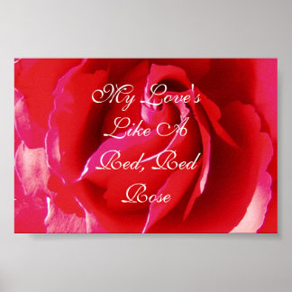 Meine Liebe ist wie eine rote Rote Rose Poster