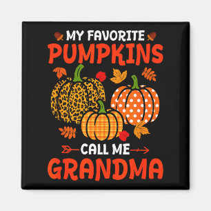 Meine Lieblingskürbisse nennen mich Oma Thanksgivi Magnet