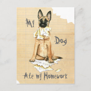 Meine Malinois Ate Meine Hausaufgaben Postkarte