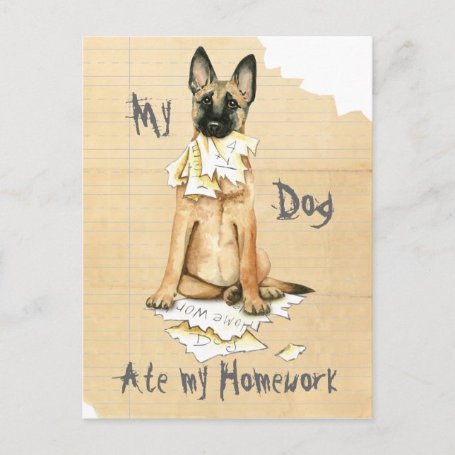 Meine Malinois Ate Meine Hausaufgaben Postkarte (Vorderseite)