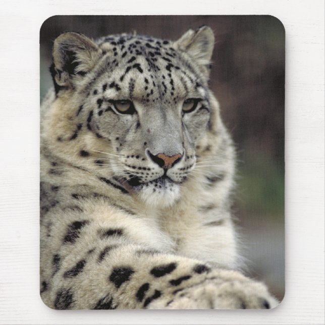 Meine Maus… Mousepad (Vorne)