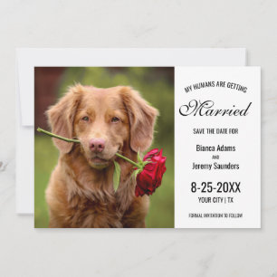 Meine Menschen heiraten Foto mit Hunden Hochzeit Save The Date