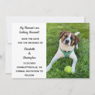 Meine Menschen heiraten Hunde-Foto Karte zum Speic