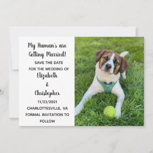 Meine Menschen heiraten Hunde-Foto Save The Date
