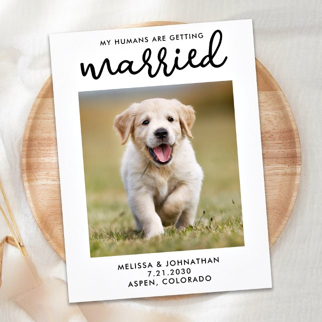 Meine Menschen heiraten Save the Date Hund Ankündigungspostkarte (Von Creator hochgeladen)