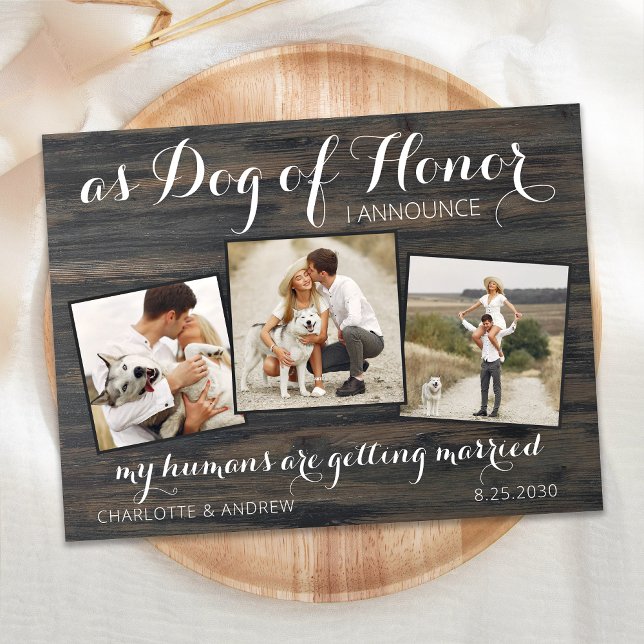 Meine Menschen heiraten Save the Date Hund Ankündigungspostkarte (Von Creator hochgeladen)