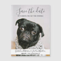 Meine Menschen heiraten Save the Date Hund