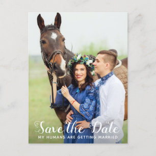 Meine Menschen heiraten Save the Date Pferd Ankündigungspostkarte