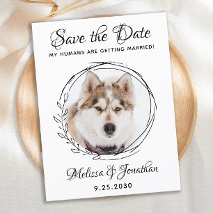 Meine Menschen werden Gerettet, Hunde mit Hochzeit Ankündigungspostkarte