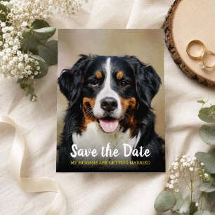 Meine Menschen werden verheiratet Hund Save the Postkarte
