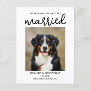 Meine Menschen werden verheiratet   Hund Save the  Postkarte