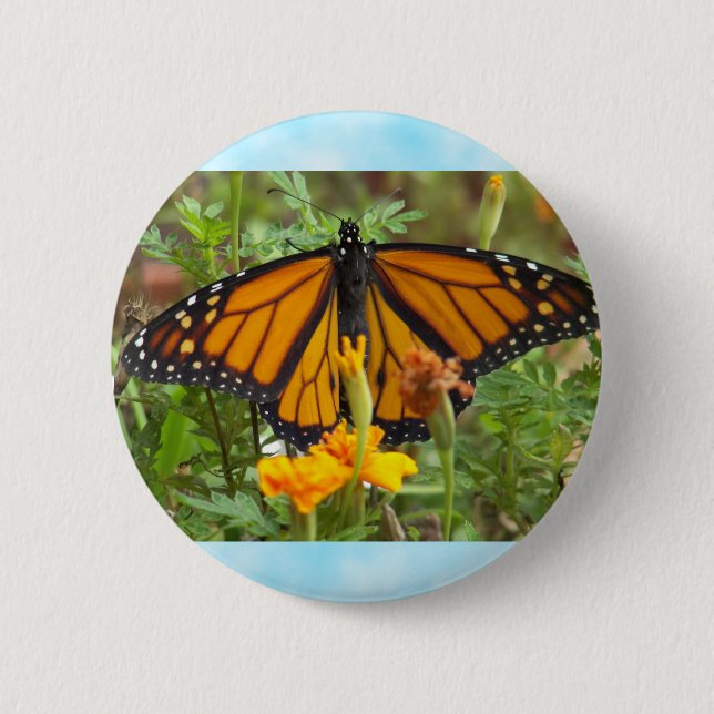Meine Monarchschmetterlingstaste Button (Vorderseite)