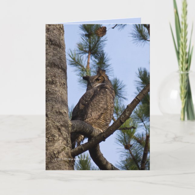 Meine Nachbarin im Wald Karte (Vorderseite)