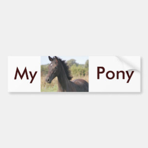 Meine neue Pony Autoaufkleber