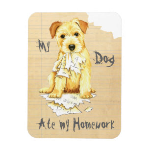 Meine Norfolk Terrier Ate Meine Hausaufgaben Magnet