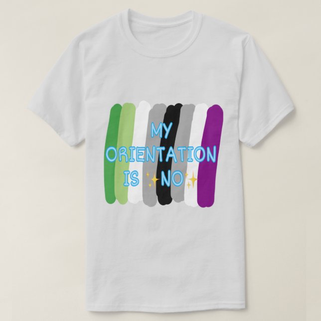 "Meine Orientierung ist nein" Aromantisches Ace-Pr T-Shirt (Design vorne)