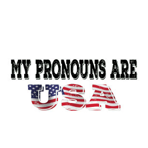 Meine Pronomen sind die USA T-Shirt