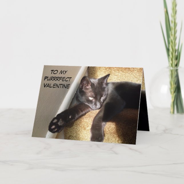 MEINE PURRFECT VALENTINE KITTY DANKESKARTE (Vorderseite)