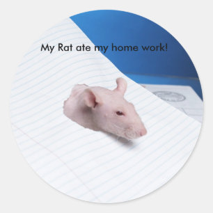 Meine Ratte hat meine Zuhause-Arbeit gegessen! Runder Aufkleber