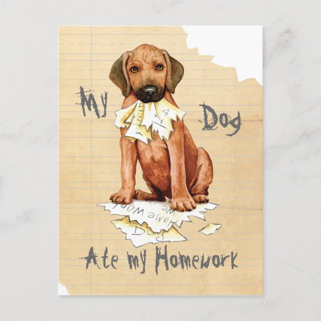 Meine Rhodesian Ridgeback Ate Meine Hausaufgaben P Postkarte (Vorderseite)
