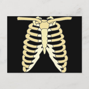 Meine Rippen Postkarte