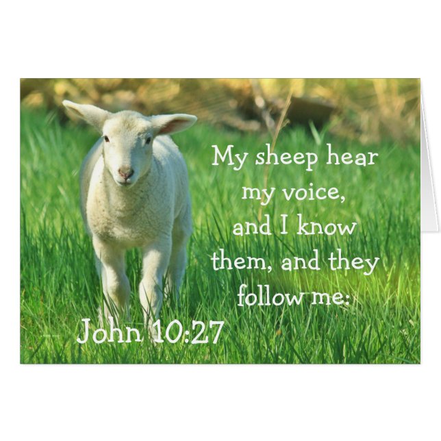 Meine Schafe hören meine Stimme, John 10:27-Karte (Vorderseite (Horizontal))