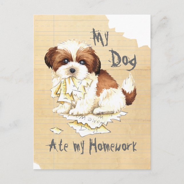 Meine Shih Tzu Ate meine Hausaufgaben Postkarte (Vorderseite)