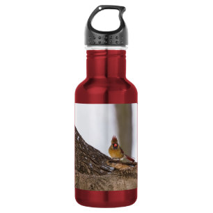 Meine Troll-Frisur Edelstahlflasche
