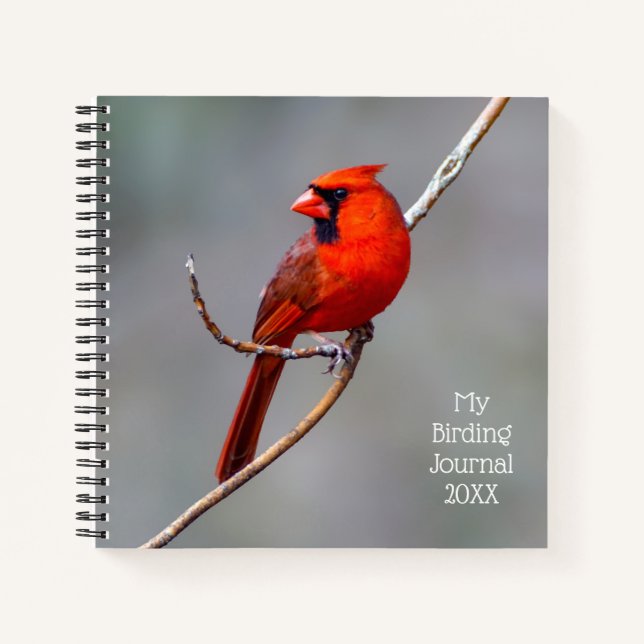 Meine Vogelbeobachtung Journal Kardinal Spiral Not Notizbuch (Vorderseite)