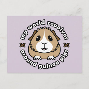 Meine Welt dreht sich... Guinea Schweine Postkarte