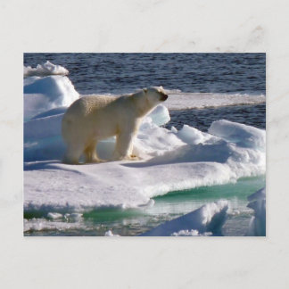Meine Welt schmilzt! Postkarte
