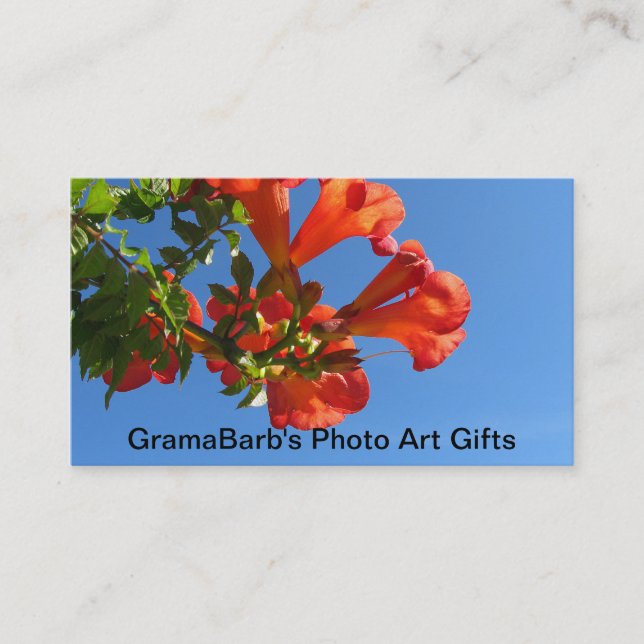 Meine Zazzle Speicher-Visitenkarte Visitenkarte (Vorderseite)