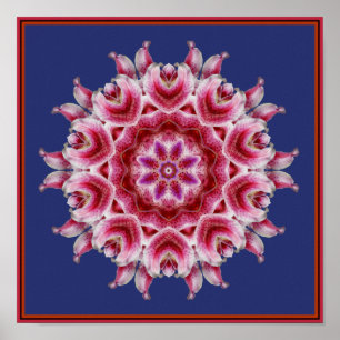 Meines Heartsongs FarbMandala-Plakat Poster